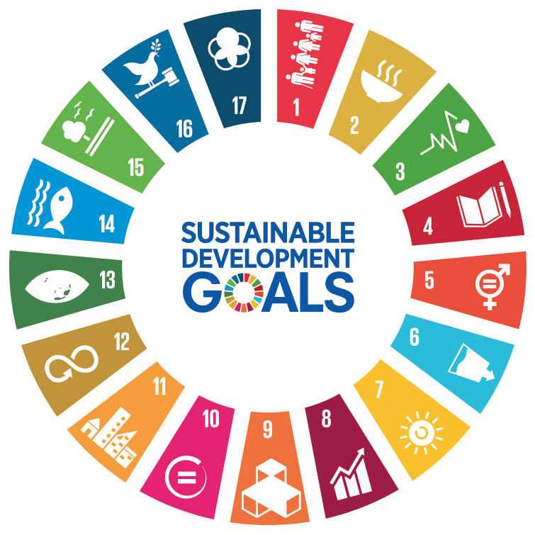 SDG-JEMS